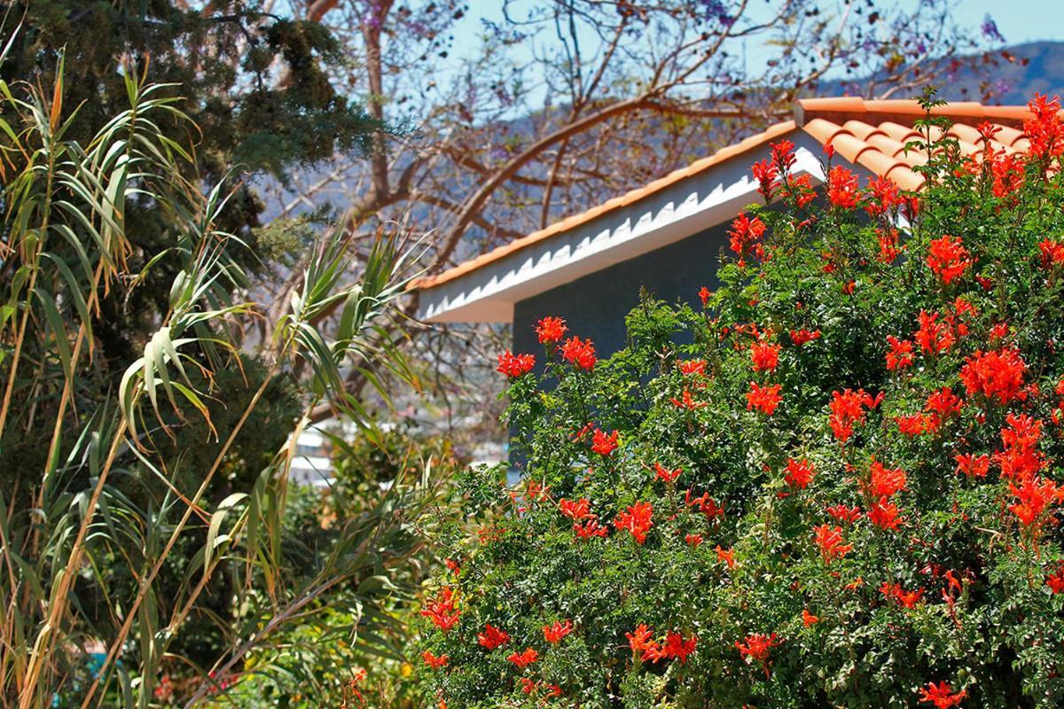 Casa Esther El Paso Luaran gambar